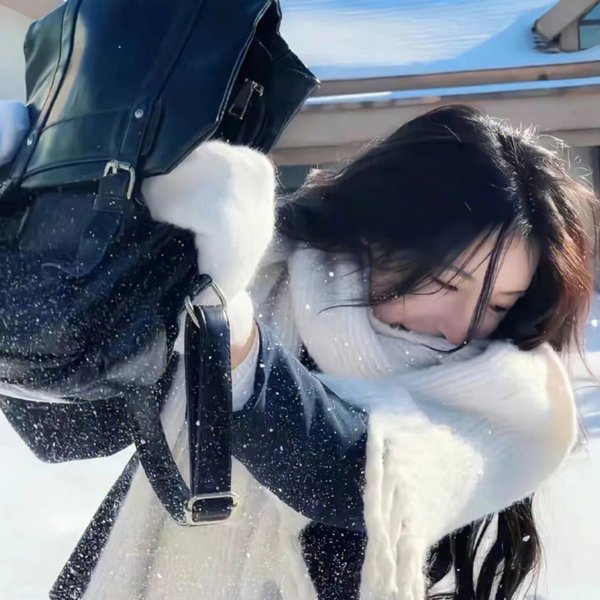 冰雪勇士2:空降信条